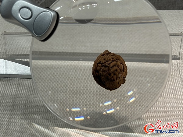 新春走基層｜春節(jié)里的博物館，“龍”味十足！