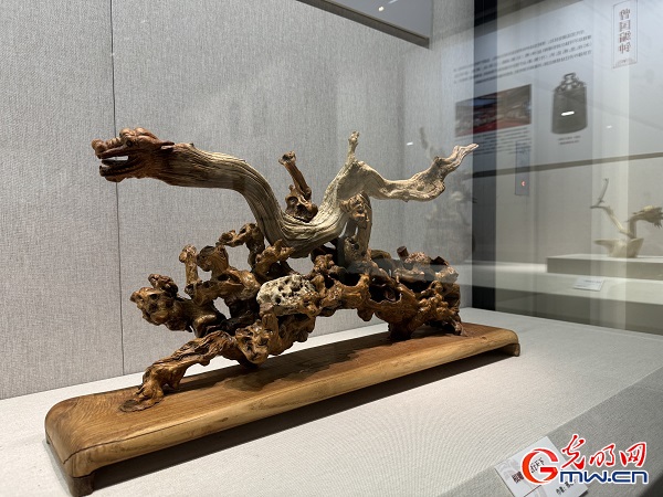 新春走基層｜春節(jié)里的博物館，“龍”味十足！