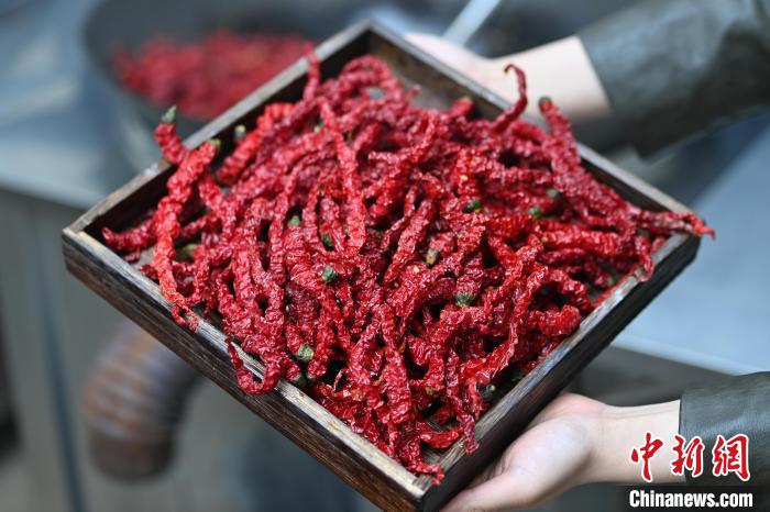 圖為甘谷辣椒。九美旦增 攝