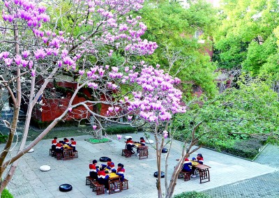 寧波慈城:儒風(fēng)雅韻 文脈悠長 寧波慈城:儒風(fēng)雅韻 文脈悠長