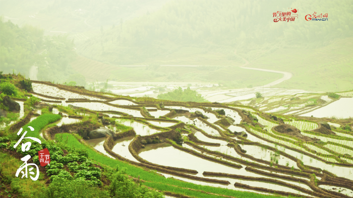 【節(jié)氣里的大美中國】來自谷雨的信丨春耕正當時，向明亮的日子進發(fā)！