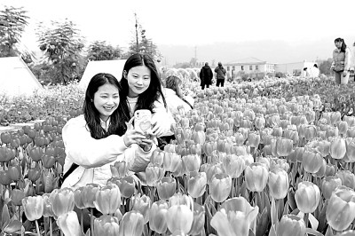 “國(guó)韻”悠長(zhǎng)，國(guó)潮何以成熱潮