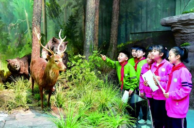 博物館研學，在行走的課堂中品讀世界