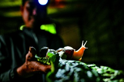 浙江嘉興:城嘉鄉(xiāng)興百姓富 浙江嘉興:城嘉鄉(xiāng)興百姓富