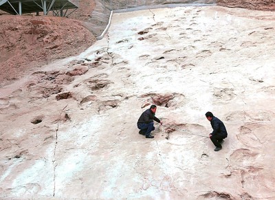 臨夏世界地質(zhì)公園：大河繞丹崖 萬峰立河州