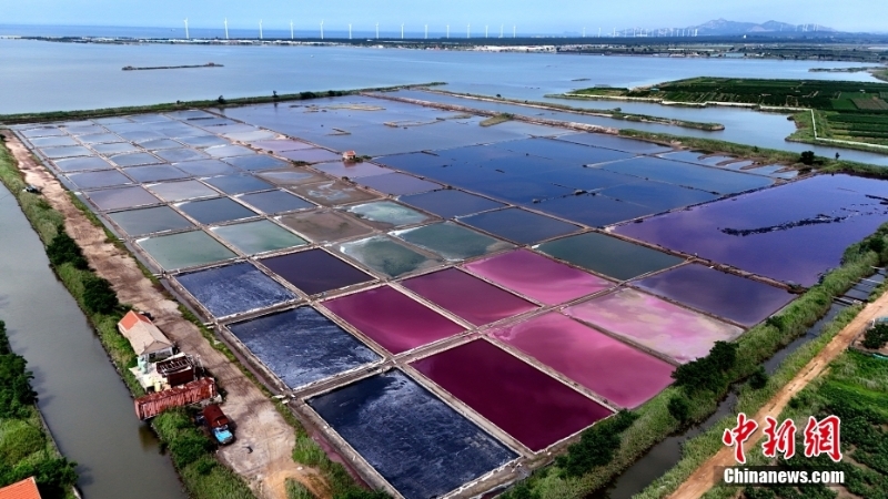 8月7日，山東省榮成市港西鎮(zhèn)朝陽港的一處鹽田在藍(lán)天白云的映襯下呈現(xiàn)出色彩斑斕、絢麗多彩的獨特景觀，成為海邊的一道靚麗風(fēng)景。