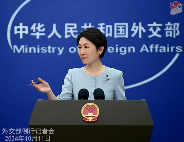 外交部發(fā)言人毛寧。（圖源：外交部網(wǎng)站）