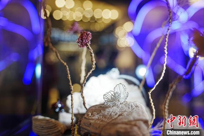 高山花卉藝術(shù)展“綻放”昆明