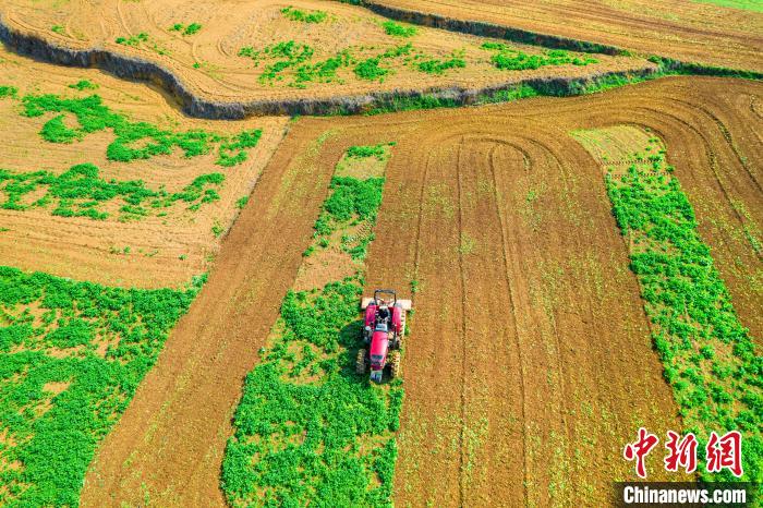 貴州黔西：春日田間農(nóng)事忙
