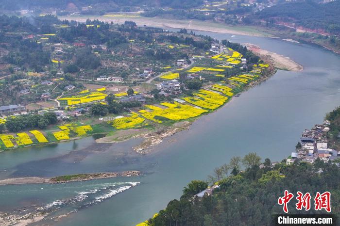 岷江之畔春色如畫