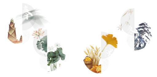 52025“四季看川”臺(tái)灣自媒體人天府游記在綿陽鹽亭正式啟動(dòng)  四川31