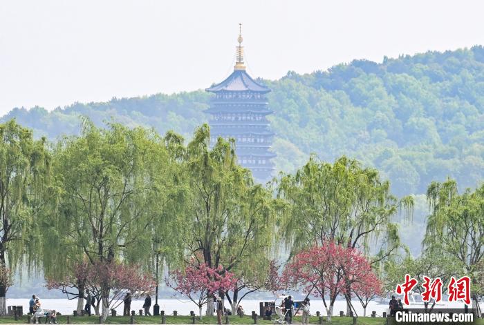 杭州西湖桃紅柳綠春景如畫