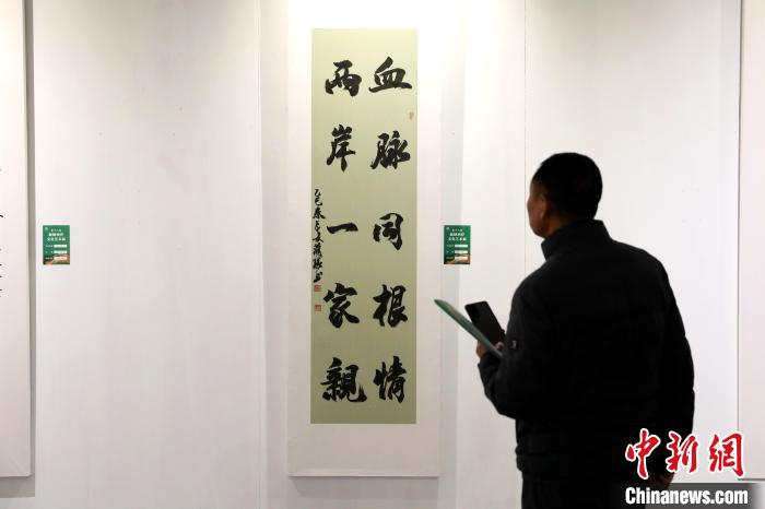 4月2日，第十八屆海峽兩岸文化藝術展在陜西西安啟幕。圖為市民參觀書法作品?！≈行律缬浾?張遠 攝