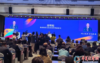 海峽兩岸關(guān)系協(xié)會常務副會長龍明彪發(fā)言