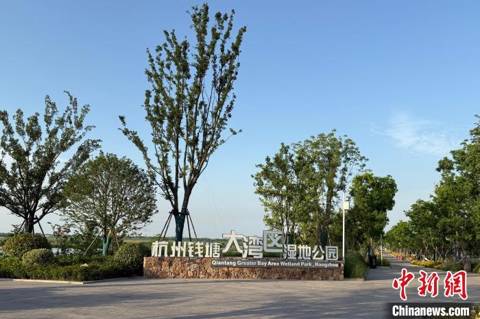 探訪浙江杭州大灣區(qū)濕地公園記錄鳥類140多種