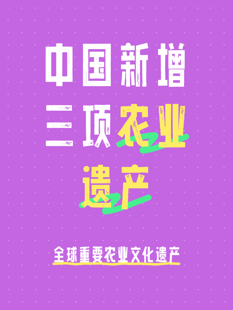 微信圖片_20250521073634