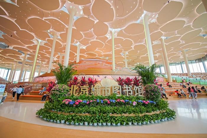 首圖城圖接連斬獲多項國際大獎