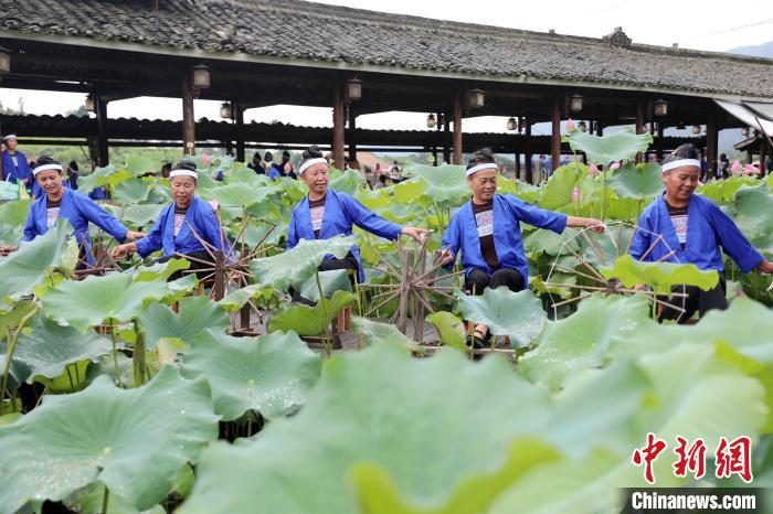 廣西三江：荷香侗韻醉游人