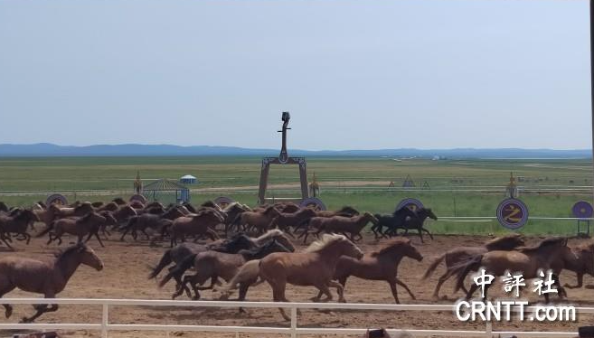 巴爾虎蒙古部落蒙古馬術(shù)表演現(xiàn)場(chǎng)