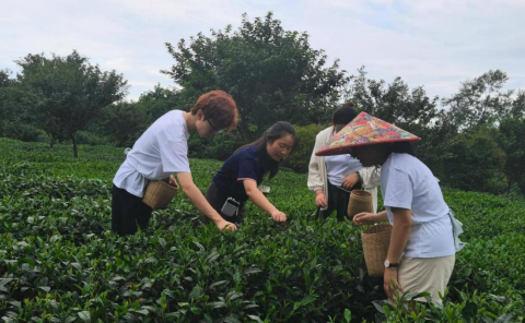 3.訪熊貓家園？尋茶祖故里∣2025年兩岸大學(xué)生研學(xué)體驗(yàn)之旅在四川舉辦543