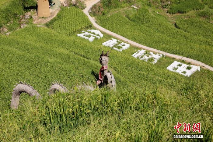 探訪浙江云和“中國最美梯田”：初秋美景吸引民眾