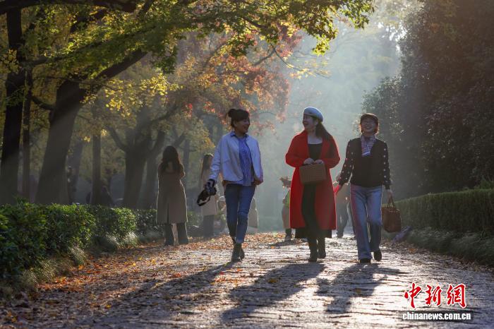 民眾走進(jìn)南京明孝陵石象路感受“光影中的詩(shī)意清晨”