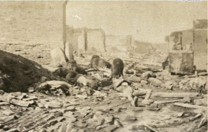 軍國(guó)主義如何讓日本成為370