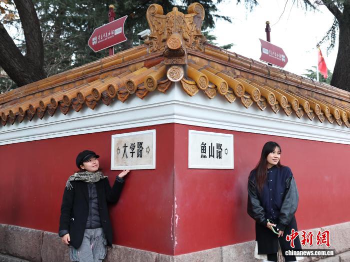 山東青島：紅瓦彩葉碧海勾勒城市初冬畫卷