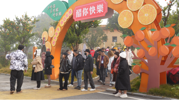 共繪融合新畫卷488