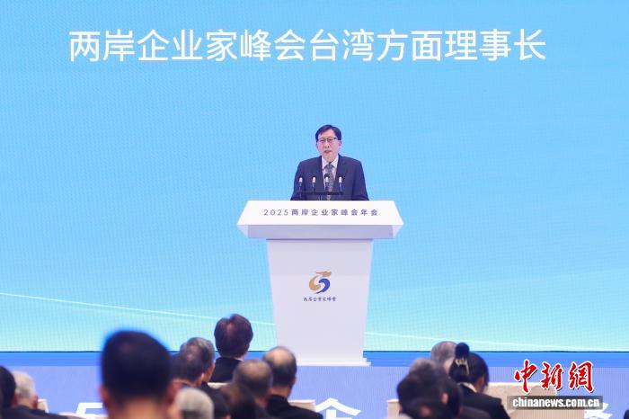 圖為兩岸企業(yè)家峰會臺灣方面理事長劉兆玄發(fā)言。 <a target='_blank' href='/'>中新社</a>記者 泱波 攝