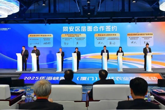 300余嘉賓齊聚福建同安，共繪兩岸融合好“豐”景