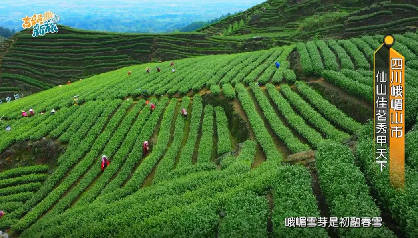 2.峨眉山島內(nèi)再火出圈 臺(tái)媒推介來(lái)一場(chǎng)說(shuō)走就走的峨眉山靈性之旅161