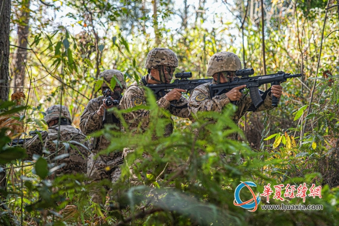 5圖為官兵在密林中搜索目標。  涂創(chuàng) 攝_副本