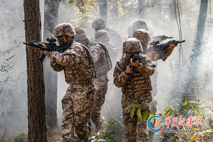 8圖為叢林地形搜索前進。  涂創(chuàng) 攝_副本