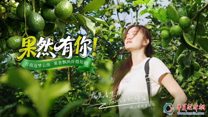 兩部滇臺主題微短劇《山海心語 花香兩岸》《果然有你》1