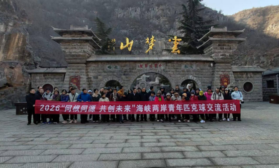 匹克球側(cè)記857