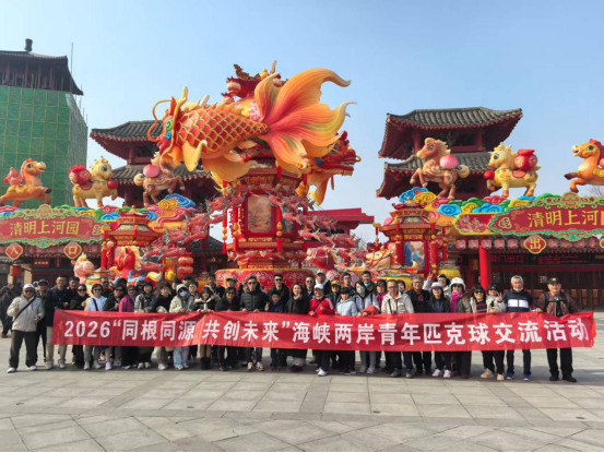 匹克球側(cè)記1229