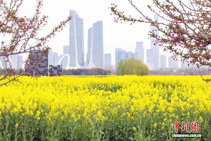 南京：城市田園美如畫